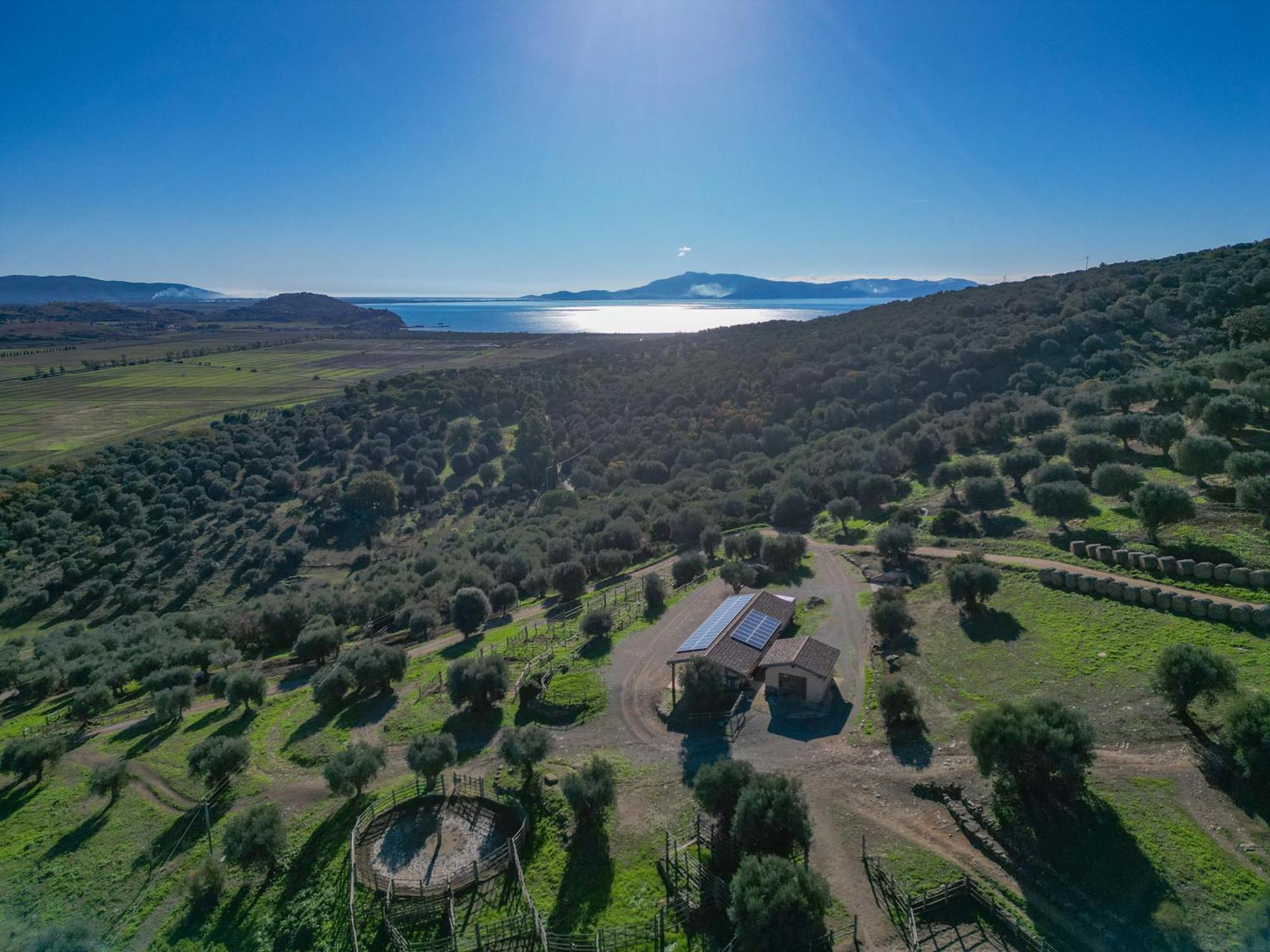 Agriturismo Buratta فونتيبلاندا المظهر الخارجي الصورة