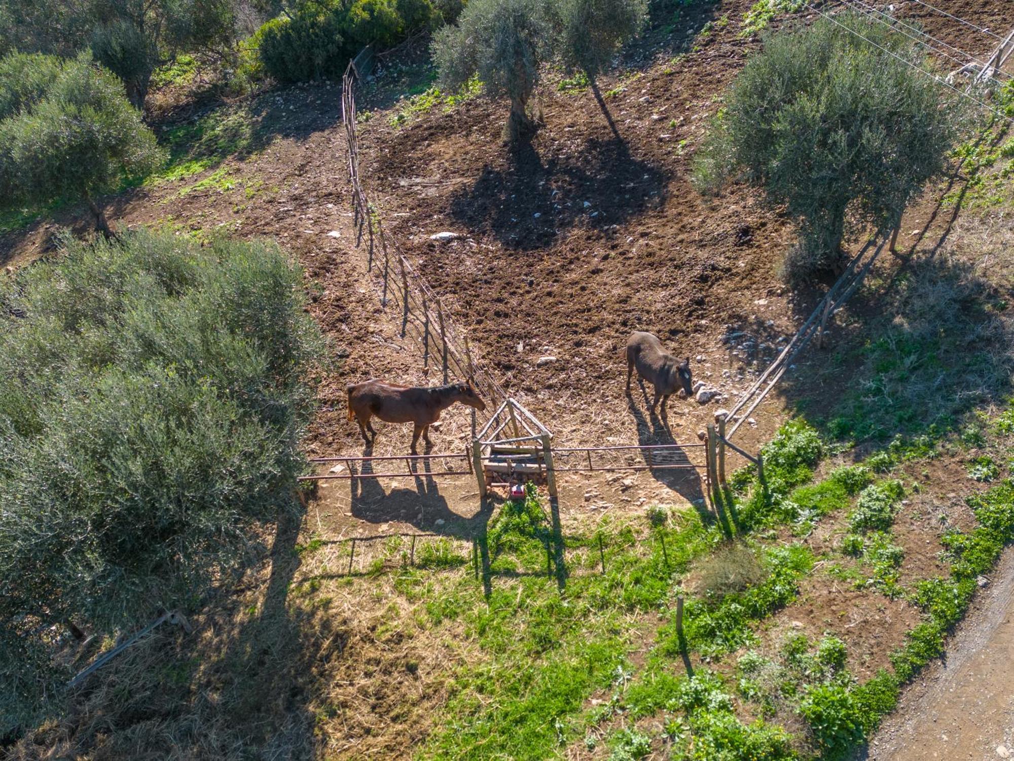 Agriturismo Buratta فونتيبلاندا المظهر الخارجي الصورة